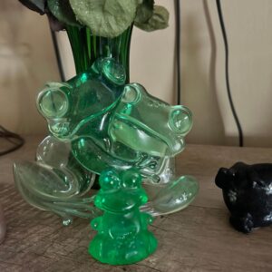 The Glass Frog Story